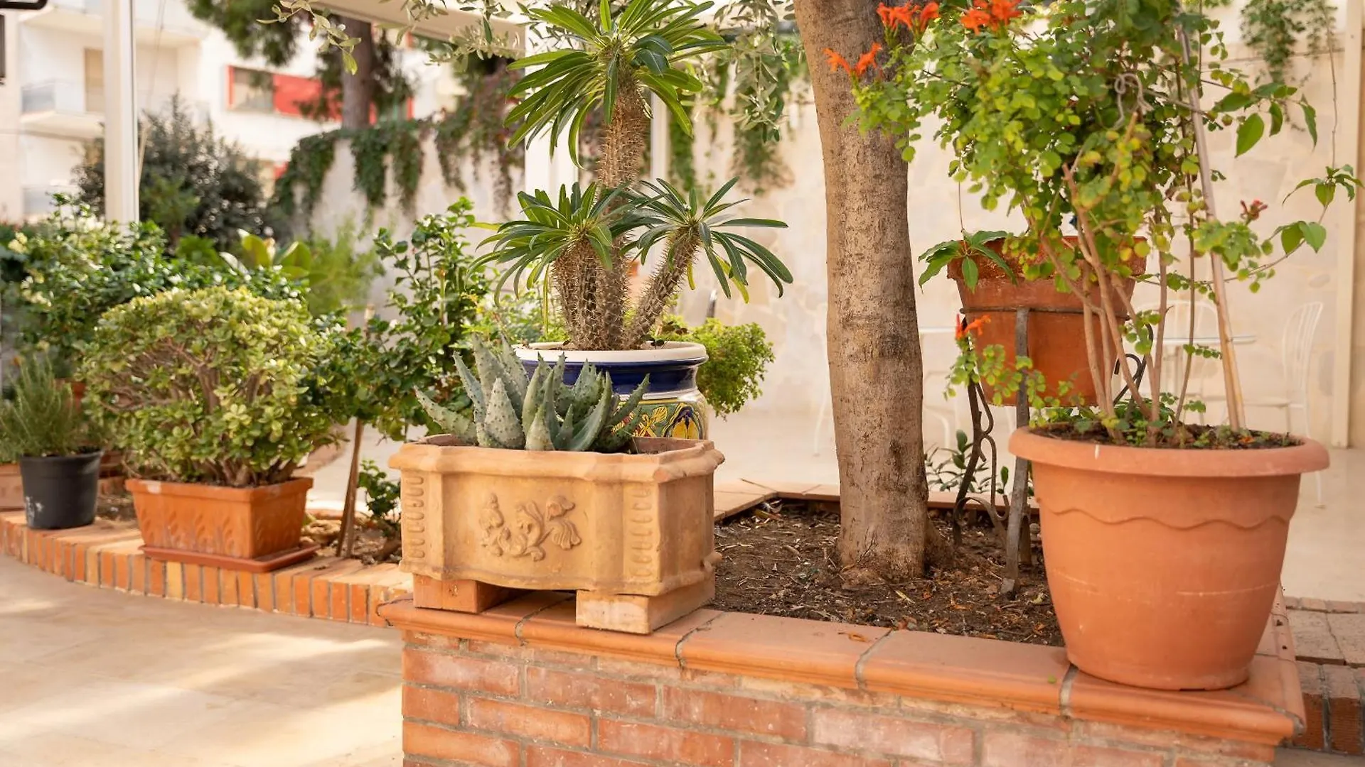 B&B Cumpari Turiddu Syrakusa Bed & Breakfast
